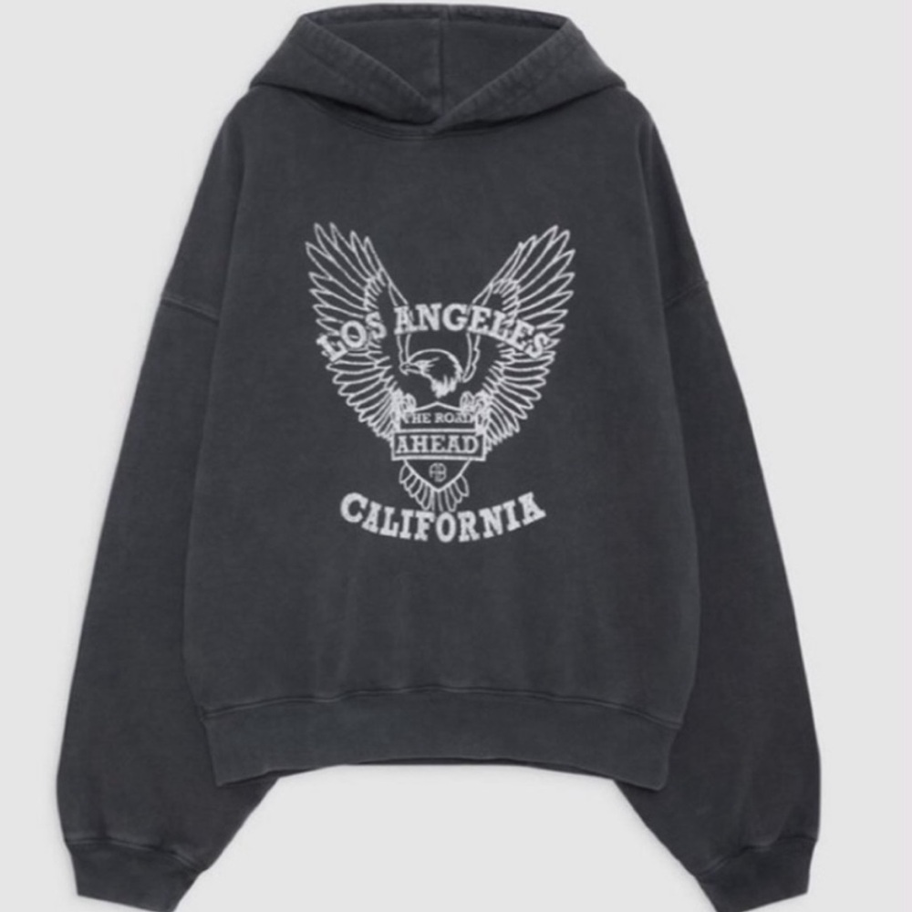 Anine Bing Alec Hoodie